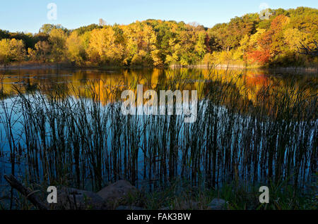 Arbres et étang de marthaler park durant la haute saison d'automne à l'aube avec des réflexions sur l'eau dans l'ouest de saint paul au Minnesota Banque D'Images