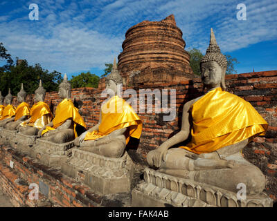 Statues de Bouddha en face de la Stupa, Wat Yai Chai Mongkhon, Thailande, Asie Banque D'Images