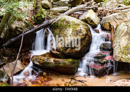 L'eau coule sur une petite cascade dans un petit ruisseau de montagne. Banque D'Images