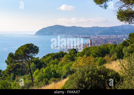 Arbre d'olives et maritime Pine Grove sur le littoral accidenté de la Ligurie, Italie. La baie de Cervo village historique et Di Banque D'Images