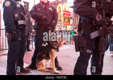 New York, USA. 31 Dec, 2015. Monter la garde de police au New York Time Square au cours de la célébration du Nouvel An, le 31 décembre 2015. Plus de 6 000 agents de police de la ville de New York, unités canines, l'air et l'eau, des patrouilles et des tireurs d'sur le toit sera déployée autour de Times Square le jeudi pour assurer la réalisation d'un million de visiteurs seront en sécurité lorsque le Nouvel An balle tombe. Credit : Muzi Li/Xinhua/Alamy Live News Banque D'Images