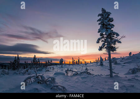 Soirée d'hiver en Laponie finlandaise Banque D'Images