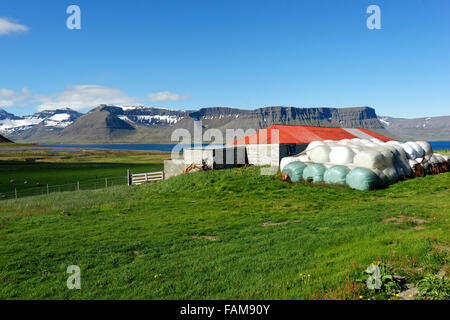 Ferme avec des bottes de paille enveloppée dans du plastique, Reykjanes, Westfjords, l'Islande, l'Europe. Banque D'Images