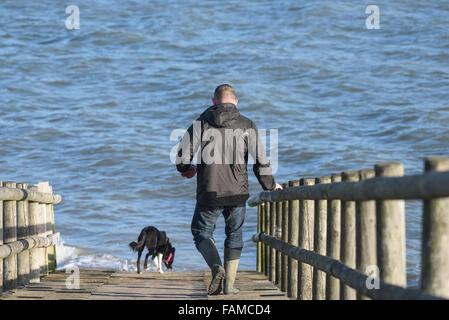 L'homme et son chien - un homme et son chien marcher sur une passerelle en bois sur l'estuaire de la Tamise Banque D'Images