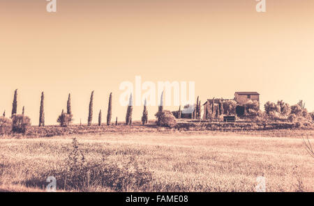 Paysage d'été de rétro ferme toscane et de cyprès Banque D'Images