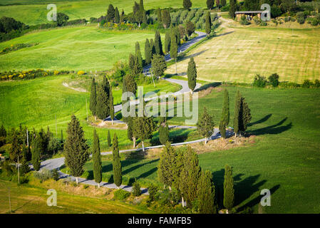 La route sinueuse, bordée de cyprès à travers les champs verts de la Valdorcia zigzaguant à Monticchiello en Toscane Banque D'Images