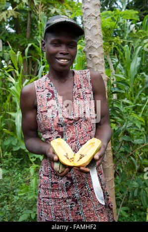 Femme avec papaye fraîchement cueillies, coupées en deux, montrant les graines. Au Kenya. Carica papaya Banque D'Images