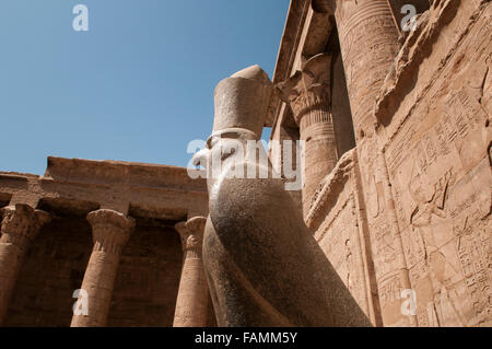 Un pèlerin de la statue en granite de Horus à la salle hypostyle, dans le Temple d'Edfou situé sur la rive ouest du Nil, dans la ville d'Edfou qui était connue à l'époque gréco-romaine comme Apollonopolis Magna, après le dieu principal Horus-Apollo. Le temple, dédié à Horus, le dieu faucon a été construit dans la période ptolémaïque entre 237 et 57 avant notre ère. L'Égypte Banque D'Images