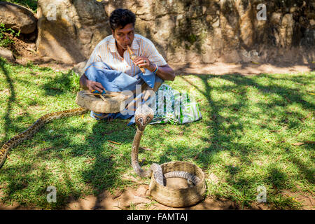 Charmeur de serpent, Anuradhapura, ville du patrimoine mondial de l'UNESCO, au Sri Lanka Banque D'Images