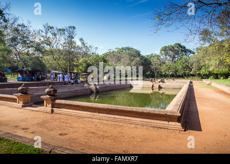 Kuttam Pokuna (lits étangs), Anuradhapura, UNESCO World Heritage Site, North Central Province, Sri Lanka, Asie Banque D'Images