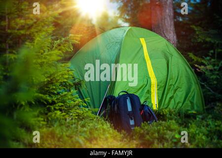 Petite Chambre Double tente verte camping et sacs à dos dans la forêt. Randonnées d'été et le camping. Banque D'Images