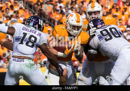 Tampa, FL, USA. 1er janvier 2016. Virginia bénévoles d'utiliser de nouveau Jalen Hurd (1) répond aux Wildcats en chef monteur de défense nord-ouest Robbins (90) et le nord-ouest de linebacker Wildcats Anthony Walker (18) à la ligne de mêlée dans le 2ème jeu le quarterin entre New York et le nord-ouest à l'Outback Bowl à Tampa en Floride. Image Crédit : Del Mecum CSM/Alamy Live News Banque D'Images