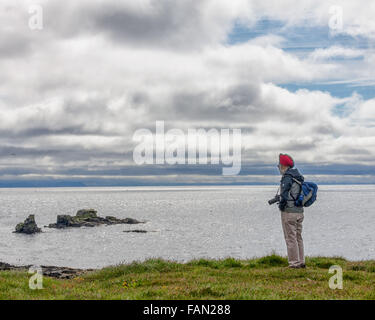 L'île de Grimsey, Islande. 31 juillet, 2015. Agent d'un navire de croisière tournées vues passager les roches volcaniques s'élevant au-dessus de la surface de l'océan Arctique au large de l'île de Grimsey, à cheval sur le cercle polaire arctique, à 40 km (24,8 km) de l'île principale de l'Islande. En plus de la pêche, le tourisme est une industrie en pleine croissance sur Grimsey et c'est un favori à l'observation des oiseaux destination touristique. © Arnold Drapkin/ZUMA/Alamy Fil Live News Banque D'Images