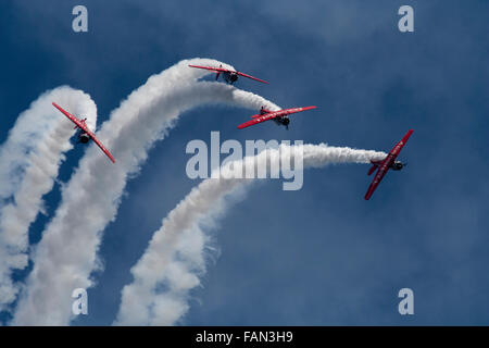 L'équipe de voltige Aeroshell. L'air et l'eau de Chicago Show 2015 Banque D'Images