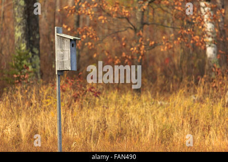 De canard maison bois en automne Banque D'Images