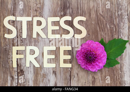 Effort libre écrit avec des lettres en bois et rose fleur dahlia Banque D'Images