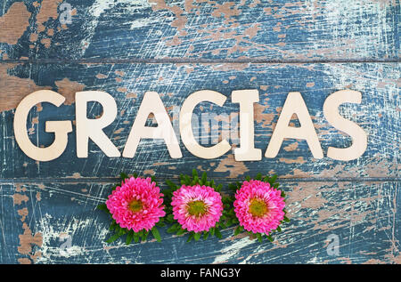 Gracias (merci en espagnol) écrit avec des lettres en bois et pink daisies Banque D'Images