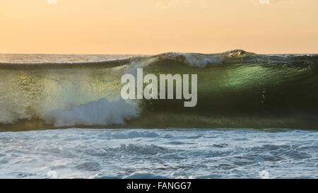 Les grandes vagues de l'océan transparent au lever du soleil, avec rétroéclairage et la couleur verte Banque D'Images