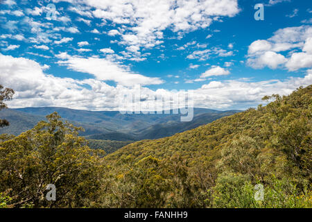 Haut Pays, Vallée Foresty, Victoria, Australie Banque D'Images