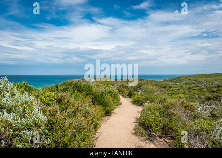 Entrée de plage, dunes, Victoria, Australie Banque D'Images