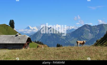 Paysages du Simmental, ferme et Niesen Banque D'Images