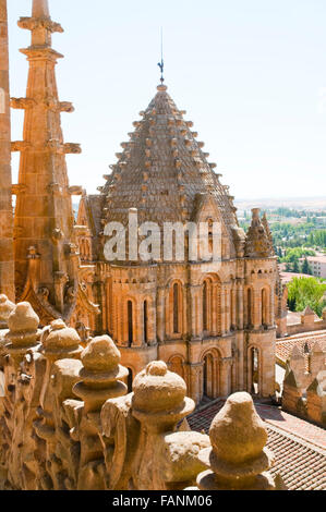 Torre del Gallo depuis la terrasse de la cathédrale. Salamanque, Castille Leon, Espagne. Banque D'Images
