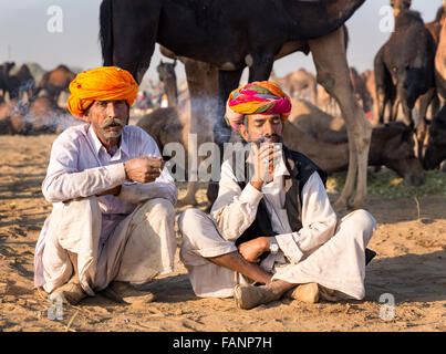 Portrait de deux hommes fumant du Rajasthan en face de leurs chameaux, Pushkar, Rajasthan, India Banque D'Images