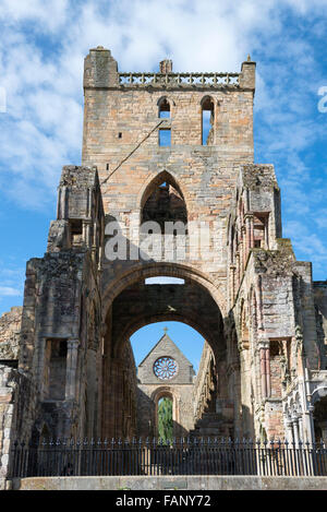 Ruines du monastère des augustins Abbaye de Jedburgh, 12e siècle, Jedburgh, Scottish Borders, Scotland, United Kingdom Banque D'Images