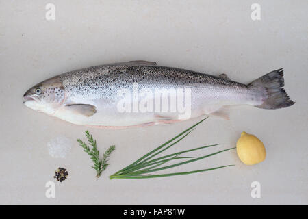 Poisson saumon cru sur la table prêt à être cuit avec du citron et des épices Banque D'Images
