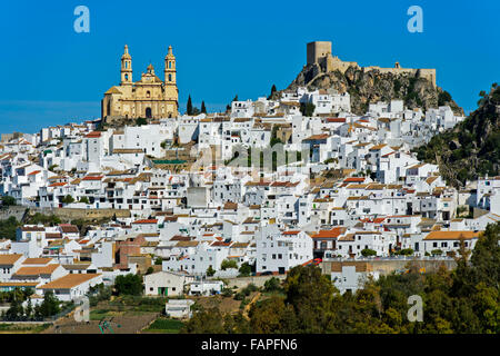 La Ville Blanche, Pueblo Blanco, Olvera, Cadiz Province, Andalusia, Spain Banque D'Images