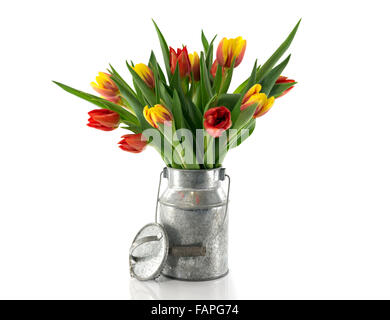 Tulipes rouges et jaunes en godet métal isolated on white Banque D'Images