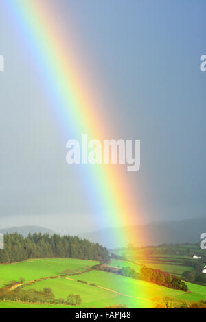 Aberystwyth, Pays de Galles, Royaume-Uni. 06Th Jan, 2016. Royaume-uni - un arc-en-ciel lumineux apparaît sur les monts Cambriens près d'Aberystwyth, Pays de Galles, Royaume-Uni, temps incertain continue à travers le Royaume-Uni. Crédit : John Gilbey/Alamy Live News Banque D'Images