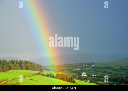 Aberystwyth, Pays de Galles, Royaume-Uni. 06Th Jan, 2016. Royaume-uni - un arc-en-ciel lumineux apparaît sur les monts Cambriens près d'Aberystwyth, Pays de Galles, Royaume-Uni, temps incertain continue à travers le Royaume-Uni. Crédit : John Gilbey/Alamy Live News Banque D'Images