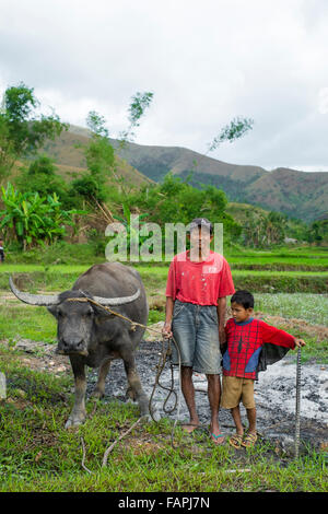 Grand-père et petit-fils posant avec leurs buffles d'eau dans les Philippines. Banque D'Images