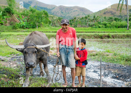 Grand-père et petit-fils posant avec leurs buffles d'eau dans les Philippines. Banque D'Images