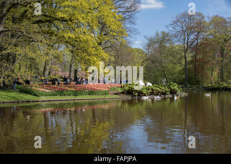 Dispositif de l'eau dans le Keukenhof jardin de printemps, Holland Banque D'Images