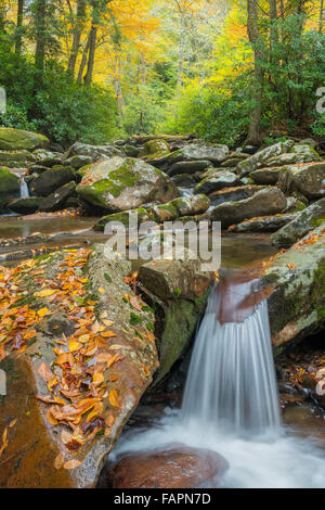 Le volet routier vu de Chimney Tops Trail, Great Smoky Mountains NP, New York USA Banque D'Images