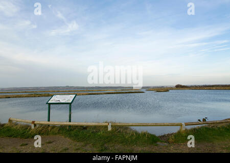 Réserve naturelle à l'emplacement de l'huîtres dans le port de Langstone. L'accès est le sentier le long de la vieille voie Billy Hayling. Banque D'Images