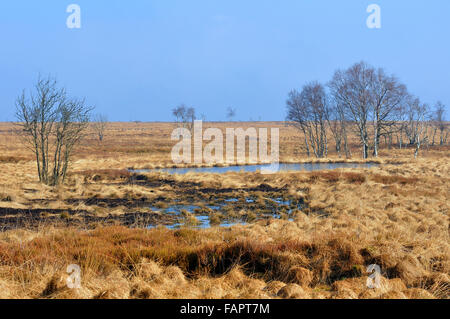 Vue Sur La Haute Montagne La Plus Grande Fenns Moor En