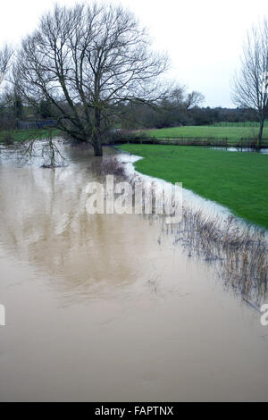 Champ inondé dans Hunningham Warwickshire Banque D'Images