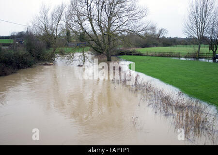 Champ inondé dans Hunningham Warwickshire Banque D'Images