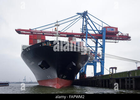 YM "témoin", Yang Ming, terminal conteneurs 'Tollerort',port, Hambourg, Allemagne Banque D'Images