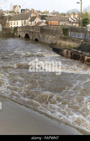 L'augmentation des niveaux d'eau dans la rivière Avon à Malmesbury après de fortes pluies à partir de la tempête en janvier 2016 Frank Banque D'Images