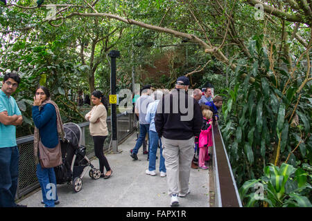 National Aviary à Pittsburgh, PA Banque D'Images