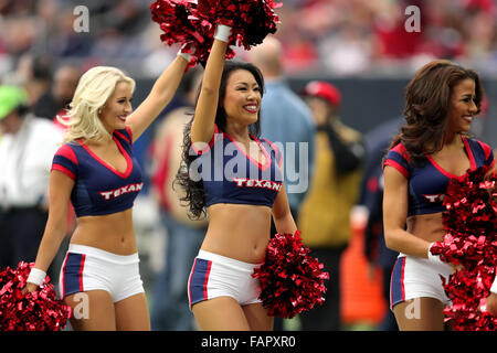 Houston, TX, USA. 06Th Jan, 2016. Les cheerleaders des Houston Texans avant le match de saison régulière de la NFL entre les Houston Texans et les Jacksonville Jaguars de NRG Stadium à Houston, TX. Image Crédit : Erik Williams/Cal Sport Media/Alamy Live News Banque D'Images