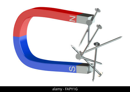 Aimant et ongles isolé sur fond blanc Banque D'Images