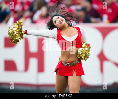 3 décembre 2016 : San Francisco 49ers cheerleader en action au cours de la NFL football match entre la Saint Louis Rams et les San Francisco 49ers à Levi's Stadium à Santa Clara, CA. Les béliers ont perdu à la la 49ers 19-16. Damon Tarver/Cal Sport Media Banque D'Images