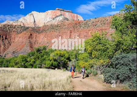 Couple hiking on the Watchman trail, Zion National Park, Utah, USA. Banque D'Images