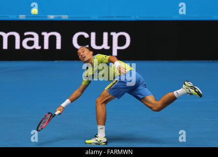 Perth. 4 janvier, 2016. Alexandr Dolgopolov de Lukraine hits un retour à Jack Sock des États-Unis durant leur match masculin à l'Hopman Cup en Australie, le 4 janvier 2016. L'Ukraine a gagné 2-1. Credit : Zhou Dan/Xinhua/Alamy Live News Banque D'Images