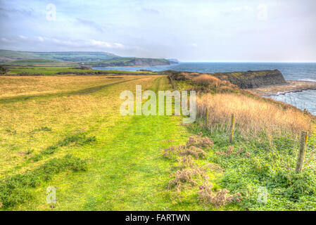 Côte à l'est de la baie de Kimmeridge crique de Lulworth Cove, sur la côte du Dorset England uk en HDR colorés vers Tour Clavell Banque D'Images